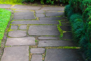 Japonya 'da Takamatsu, Kagawa' da bir Japon bahçesinde Zen taşından bir patika. Yüksek kalite fotoğraf