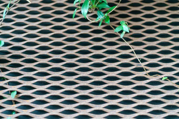 stock image Abstract background of an overgrown fence. High quality photo