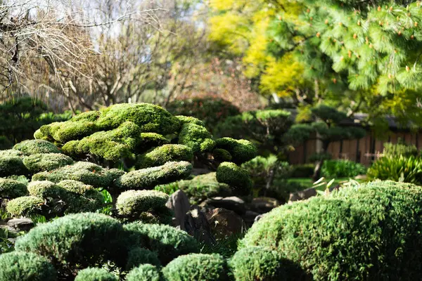 Japon manzarası - takedera - hokokuji - kamakura - kanagawa. Yüksek kalite fotoğraf