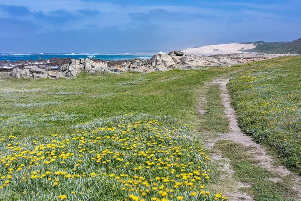 여름철의 아래푸른 아래푸른 아래있는 과푸른 해변을 근처를 남아프리카 공화국의 스코프 — 스톡 사진