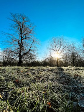 Beautiful frosty winter morning. Bright sun makes trees shadows astonishing. Footpaths and grass are covered with sparkling ice and frost. Deep blue sky makes it a perfect day for walk