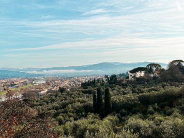 View at Florence from the high viewpoint above the city. Fabulous nature, hills at the horizon and ancient architecture make this city incredibly unique.