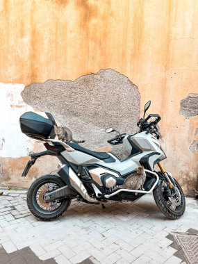 Cats in Syracuse in Italy