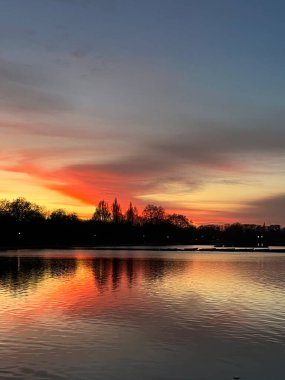 Pink and deep purple coloured sky and tranquil light at the sunset. The lights are mesmerising as the reflections of trees and birds are seen in the lake. Relaxation vibes. The atmosphere of calmness 