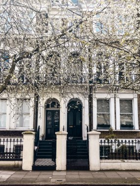 Londra 'da Chelsea' de pembe sakura çiçekleri olan bir yerleşim yeri. Londra 'daki evler mavi gökyüzünün altında rahat görünüyor. İlahi yaşam tarzı için mükemmel bir yerleşim yeri