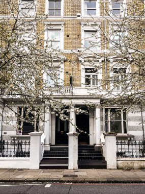 Londra 'da Chelsea' de pembe sakura çiçekleri olan bir yerleşim yeri. Londra 'daki evler mavi gökyüzünün altında rahat görünüyor. İlahi yaşam tarzı için mükemmel bir yerleşim yeri