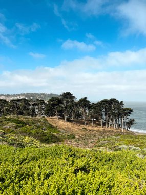 Aydınlık bir günde körfezin sularında manzaralı Kaliforniya kıyıları. Batı Yakası 'nın çalıları ve çiçekleri hafif bulutlu gökyüzünün önünde. Körfezin Pasifik Okyanus sularının dalgaları.