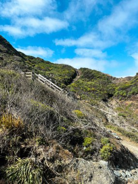 Aydınlık bir günde körfezin sularında manzaralı Kaliforniya kıyıları. Batı Yakası 'nın çalıları ve çiçekleri hafif bulutlu gökyüzünün önünde. Körfezin Pasifik Okyanus sularının dalgaları.