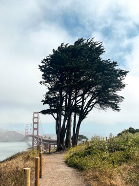 San Francisco 'daki Golden Gate köprüsünün kıyı manzarası. Amerikan simgesi. Uçurumlar ve çimenler resmi çerçeveliyor. Körfez suyunda dalgalar. Hafif sis.