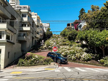 San Francisco 'daki Steep Lombard Caddesi. Arabalar dar açıyla caddelere park edilmiş. Bulutsuz sıcak ve güneşli bir gün. Kaliforniya evleri ve yemyeşil yapraklar.