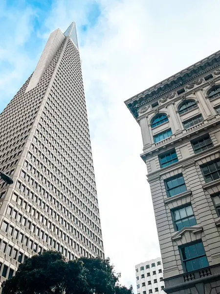 San Francisco 'nun cam ve beton gökdelenleri tepeden tırnağa görünüyor. Güneşli bir günde dev bina ışıldıyor, yollar az trafikle kesişiyor..