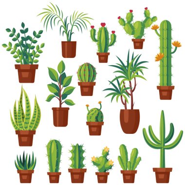 Collection of illustrations of cactus tree ornamental plants