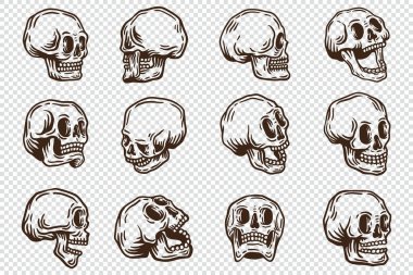 Collection of hand drawn Vector Skull Shapes