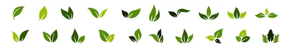 Set Icone Foglia Verde Colore Verde Logo Icona Foglia Colore — Vettoriale Stock
