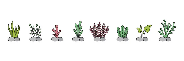 Mořské Rostliny Akvarijní Vektory Mořských Řas Nastaveny Přírodní Ilustrace Mořských — Stockový vektor