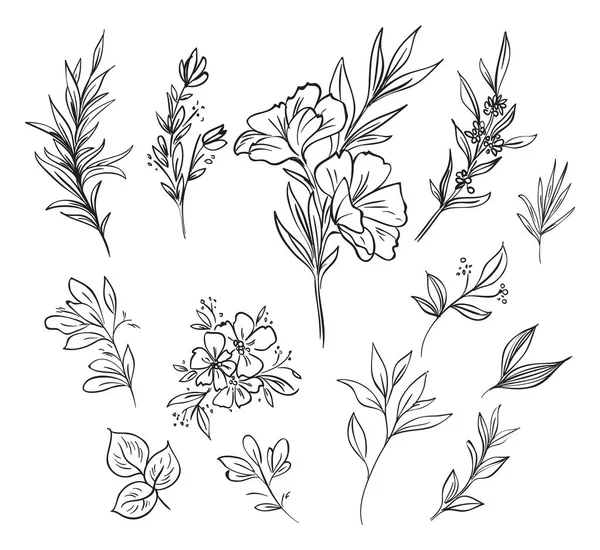 Set Von Skizzen Kritzelt Handgezeichnete Design Florale Elemente Vektorillustration — Stockvektor