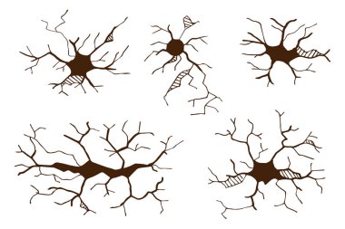 Arazi çatlakları beyaz arka planda izole edilmiş. Vektör illüstrasyonu