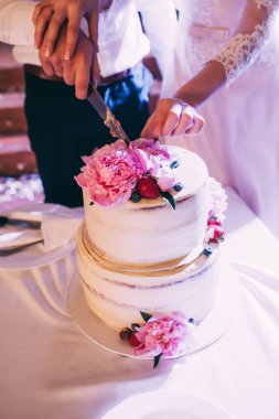 Gelin ve damat düğün pastasını kesiyor, yakın plan.