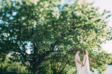 Gelin ve damat birlikte yeşil ağaçların ve gölün yanında duruyorlar.