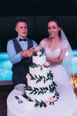 Düğün resepsiyonunda düğün pastasıyla mutlu gelin ve damat       