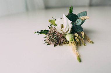 Beyaz arkaplanda güzel bir yaka çiçeğinin yakın çekim görüntüsü.