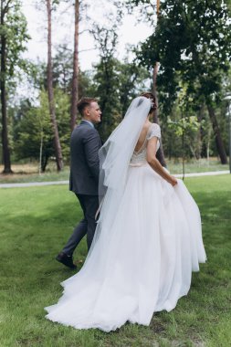 Güzel, mutlu gelin ve damat parkta yürüyor..   