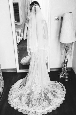 Gelinlik içinde zarif bir poz veren güzel bir gelin.  