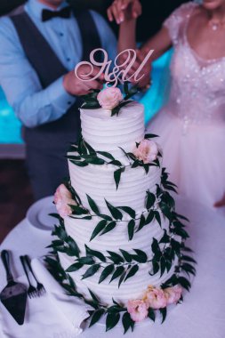 Düğün resepsiyonunda düğün pastasıyla mutlu gelin ve damat       