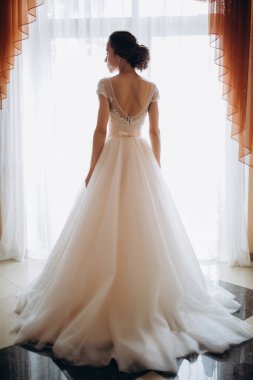 Gelinlik içinde güzel bir gelinin portresi, arka manzara.