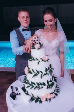 Düğün resepsiyonunda düğün pastasıyla mutlu gelin ve damat       