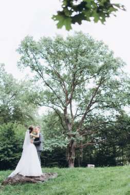 Parkta poz veren gelin ve damadın güzel portresi.                