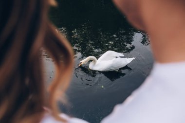 Gölde beyaz kuğu, bulanık adam ve kadın 