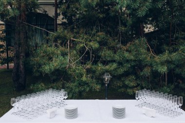 Yeşil Park 'ta düğün dekorlu servis masası. 