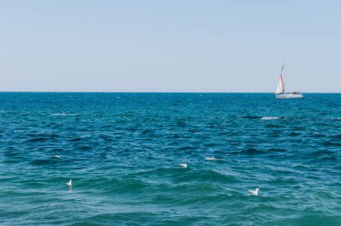 Deniz ve mavi gökyüzü yelkenliyle