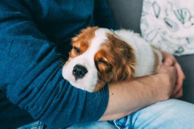 Mutfakta köpeği olan çift. 