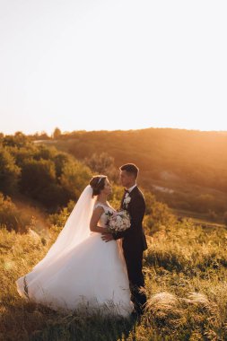 Mutlu gelin ve damat gün batımında güzel bir manzarada yürüyorlar.                