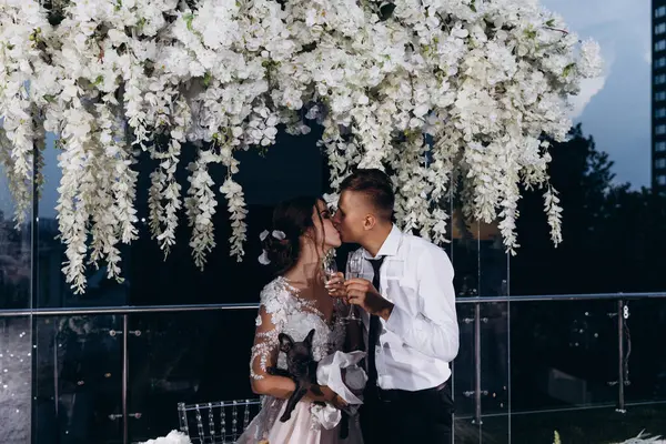 Mutlu genç gelin ve damat ellerinde şampanya kadehleri ve sevimli küçük köpek, düğün çifti öpüşüyor.