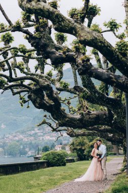 Mutlu gelin ve damat dağ gölü kıyısında yürüyorlar.                