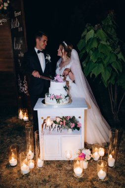 Düğün gününü kutlayan ve pasta kesen güzel bir çift.