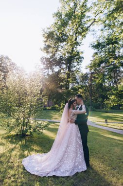 Mutlu gelin ve damat gün batımında yeşil parkta sarılıyor. 