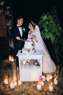 Gelin ve damat gülerek ve düğün pastasını keserek. 