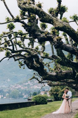 Dağ gölü kıyısında yürüyen güzel bir çift. 