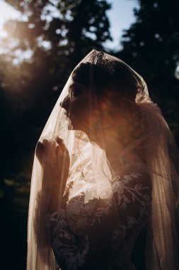 Gelinlik ve peçeyle gün batımında parkta güzel bir gelin.   