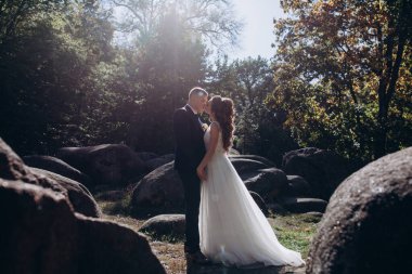 Genç bir çift düğün günlerinde güneşli bir yaz parkında romantik bir anın tadını çıkarır. Doğayla çevrili, gülümsüyor ve birbirlerine sevgiyle sarılıyorlar..