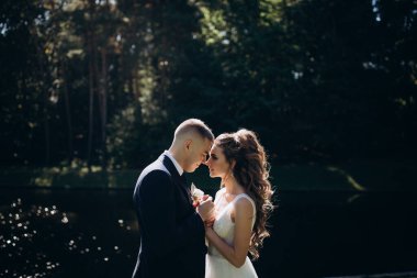 Genç bir çift düğün günlerinde güneşli bir yaz parkında romantik bir anın tadını çıkarır. Doğayla çevrili, gülümsüyor ve birbirlerine sevgiyle sarılıyorlar..