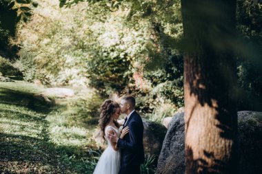 Genç bir çift düğün günlerinde güneşli bir yaz parkında romantik bir anın tadını çıkarır. Doğayla çevrili, gülümsüyor ve birbirlerine sevgiyle sarılıyorlar..