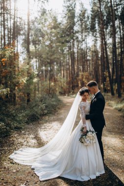 Güzel mutlu gelin ve damat düğün günü ormanda birbirlerine sarılıp poz veriyorlar.                            