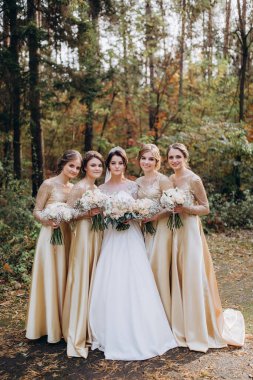 Doğada poz veren zarif elbiseli nedimeleri olan güzel bir gelin.