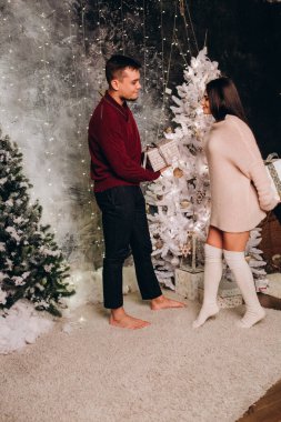 Birbirlerine aşık genç bir çift stüdyoda rahat bir Noel süslemesiyle poz veriyorlar. Yeni yılın aşk hikayesi.. 