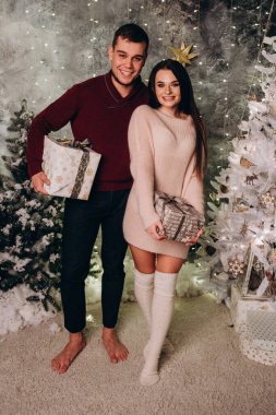 Birbirlerine aşık genç bir çift stüdyoda rahat bir Noel süslemesiyle poz veriyorlar. Yeni yılın aşk hikayesi.. 
